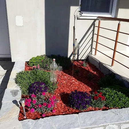 Simica Cose * Vrdnik