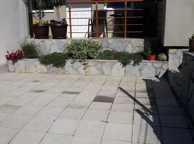 Simica Cose * Vrdnik