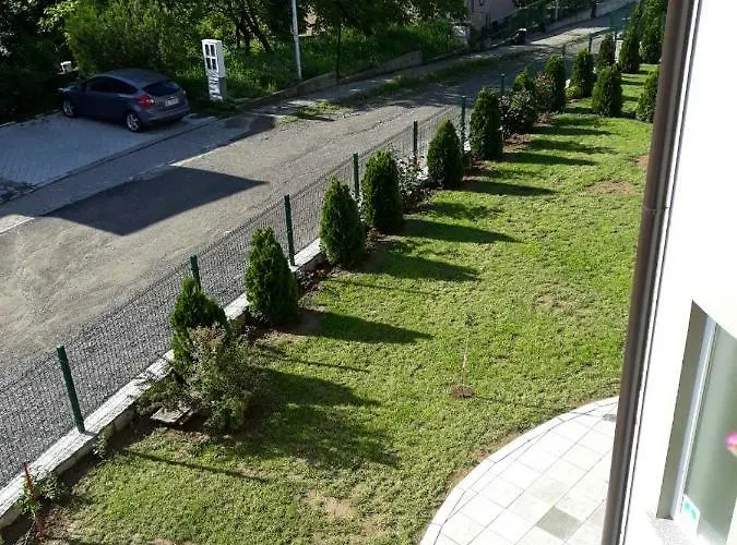 Simica Cose Daire Vrdnik