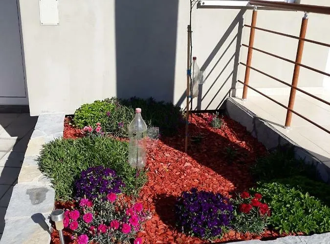 Simica Cose * Vrdnik