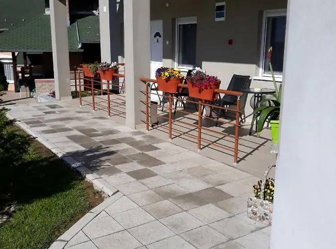 Simica Cose Daire Vrdnik