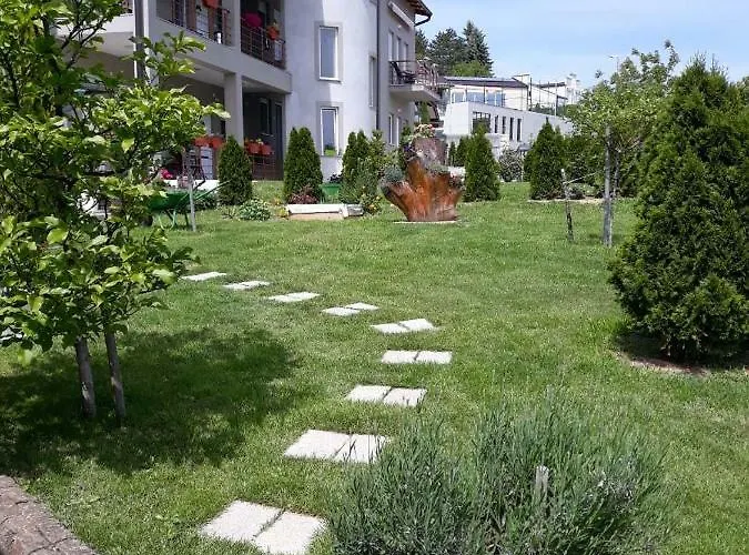 Simica Cose Daire Vrdnik